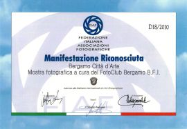 2010 bg città arte 2