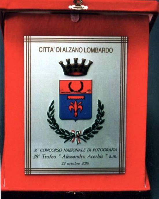 premio-alzano