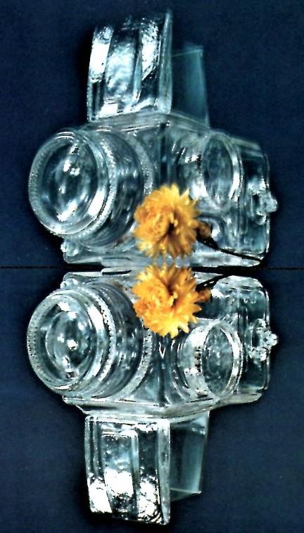 hasselblad cristallo