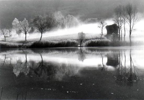 Gotti oliviero -lago