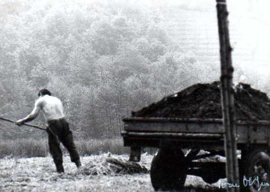 antichi-mestieri-40-spargiletame