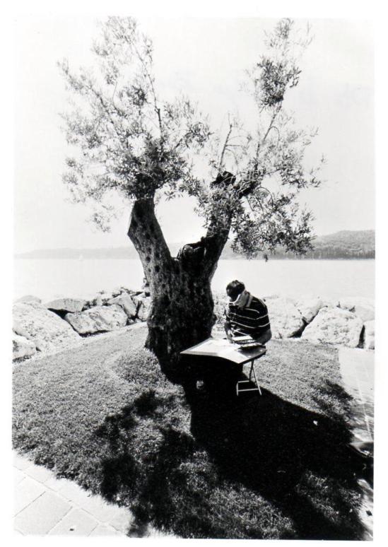 Diego Zucchi - Gardone del Garda