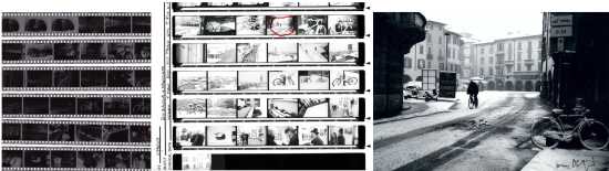 provino-24x36-completo