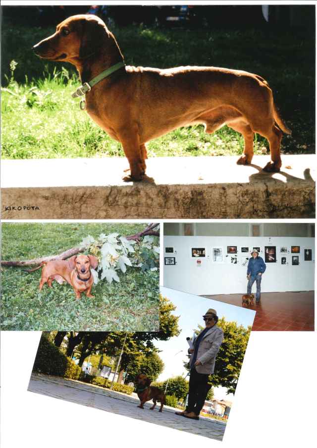 20200514132201038_0001