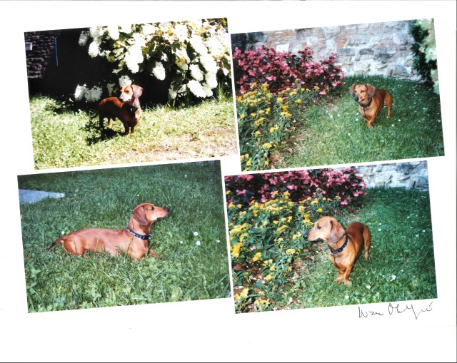 20200629142050940_0001